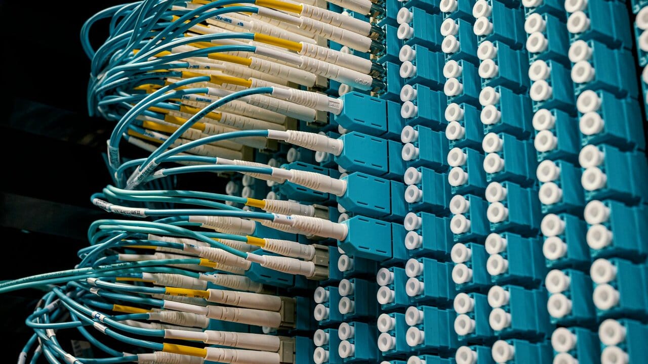 Close-up of a network patch panel with dense blue Ethernet cables connected to switching equipment.